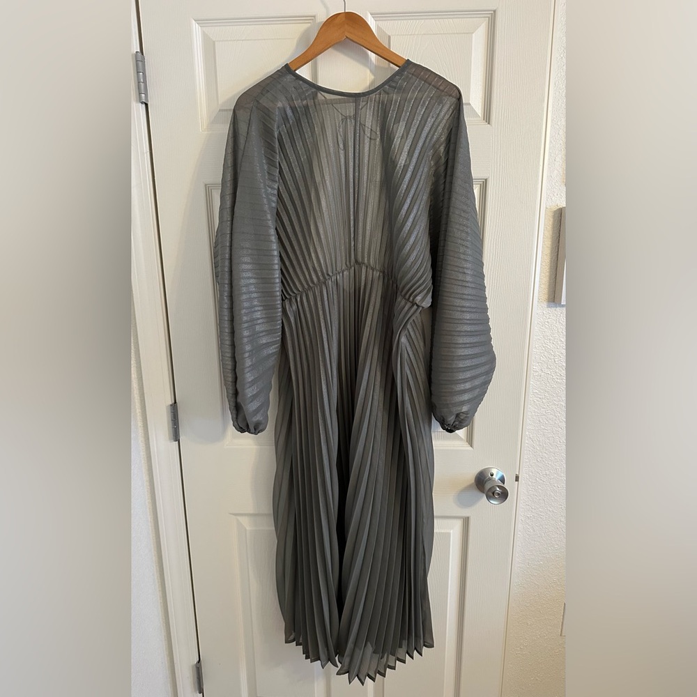 Anthropologie Sheer Pleated Taupe Maxi Dress - Picture 4 of 9